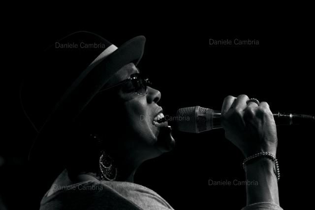 DDB (5)